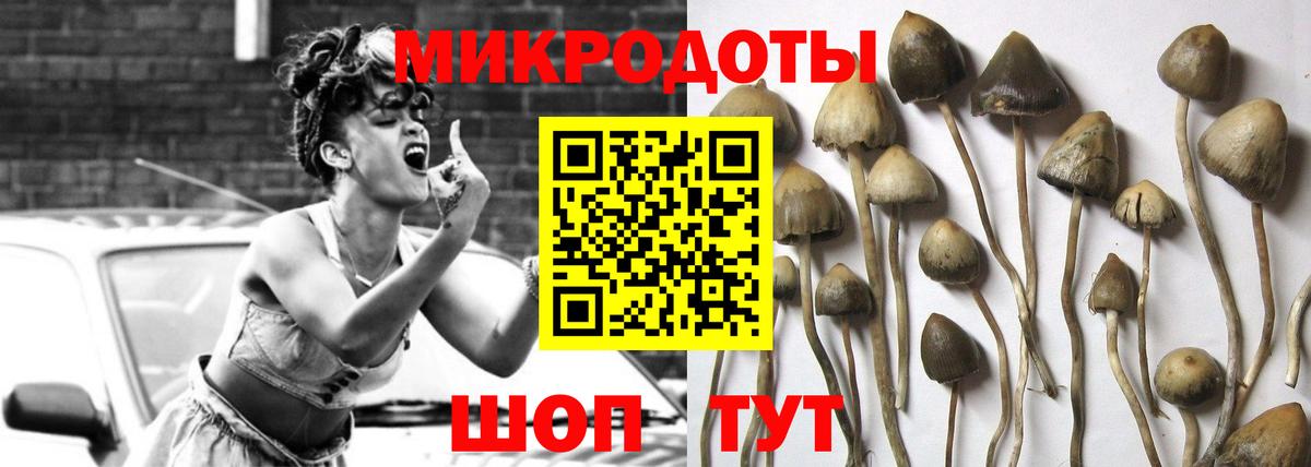 Нерюнгри  Псилоцибиновые грибы прущие грибы  Вход с VPN 